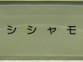 ししゃも 2006/07/11-1