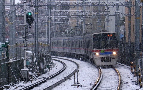 雪だが 2008/02/06-1