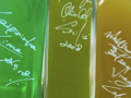 oils 2008/12/25-1