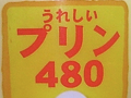 うれしいプリン480 2009/01/26-1
