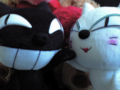 クロネコシロネコ 2009/12/31-1