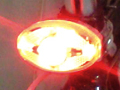 テールライト大購入 2010/02/23-1