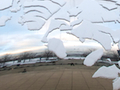 謎のオブジェ 2010/12/11-1