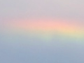虹 2011/06/05-1